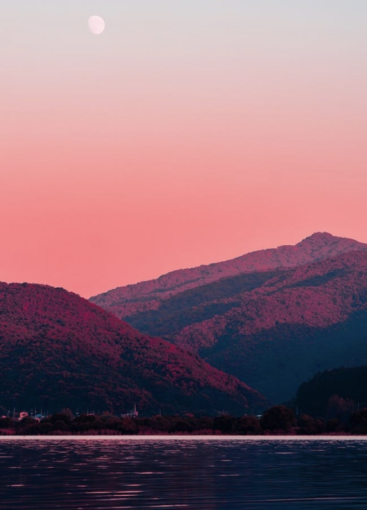 Giant hills covered in red plants.