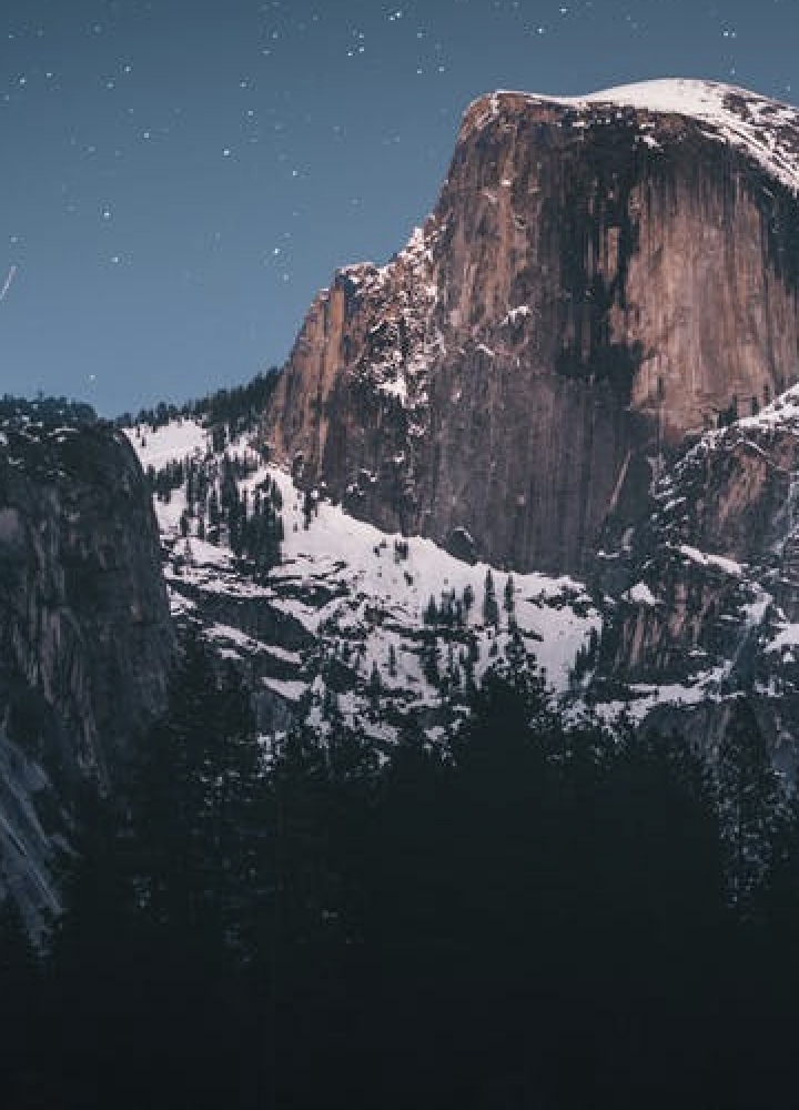 A cliff face in some snowy forest.