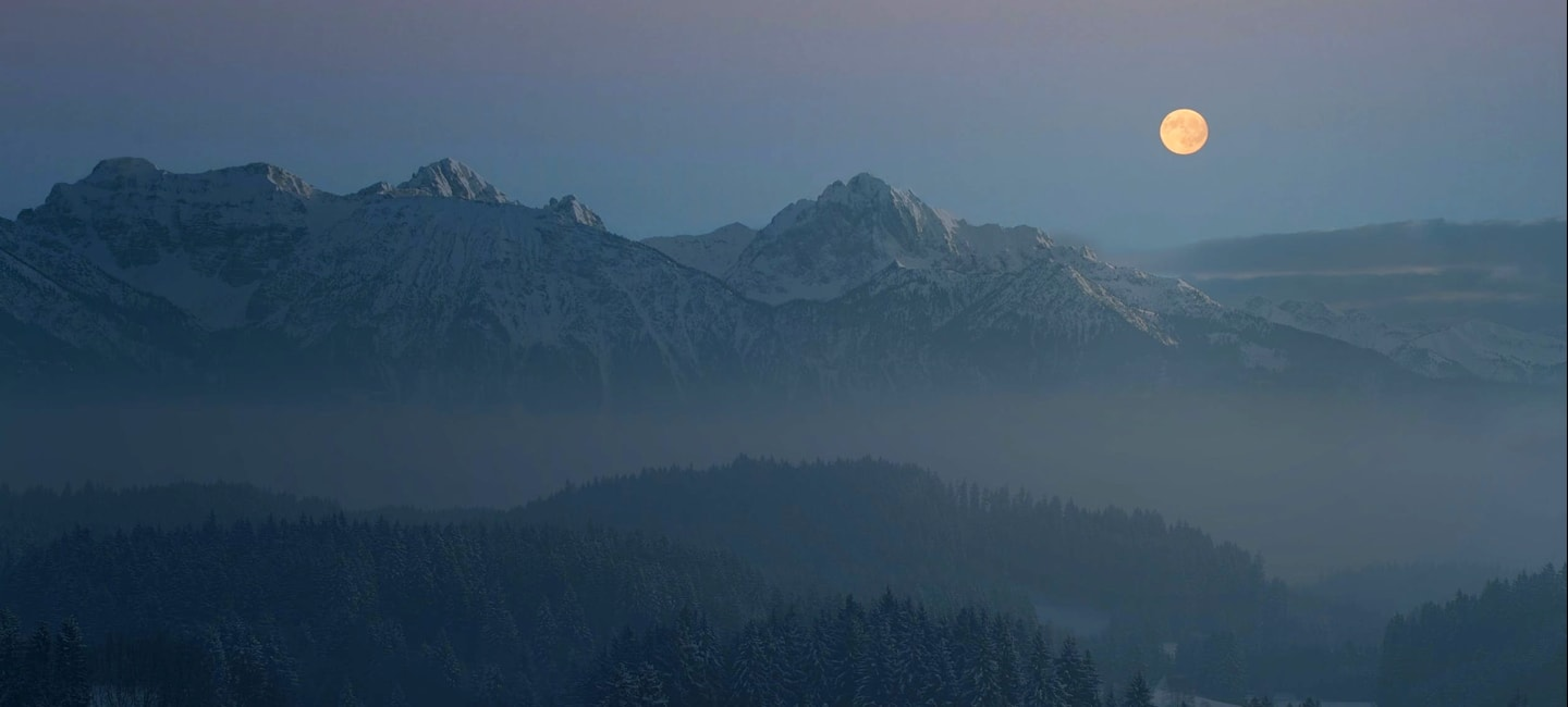 A misty forest with mountains in Appalachia at night with clear skies and a full moon